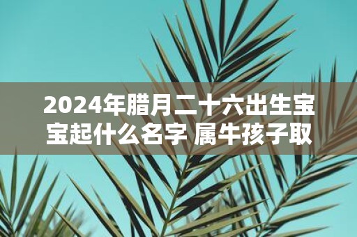 2025年腊月二十六出生宝宝起什么名字 属牛孩子取名首选