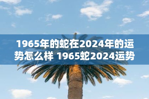 1965年的蛇在2025年的运势怎么样 1965蛇2025运势如何