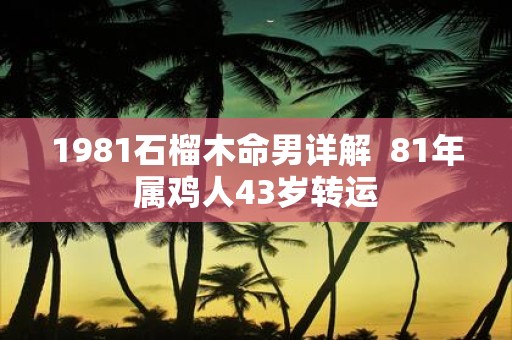 1981石榴木命男详解 81年属鸡人43岁转运