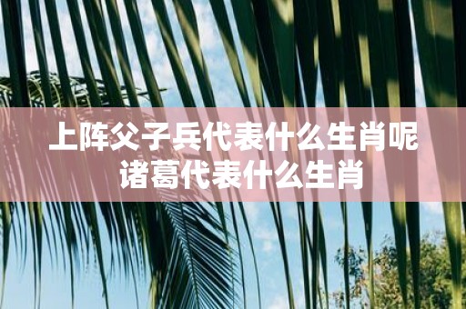 上阵父子兵代表什么生肖呢 诸葛代表什么生肖
