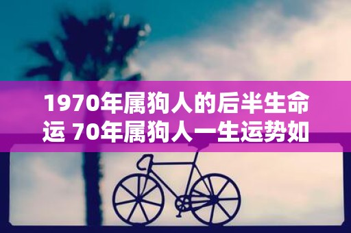 1970年属狗人的后半生命运 70年属狗人一生运势如何