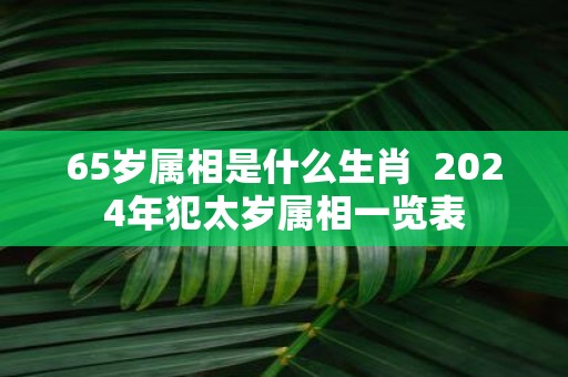 65岁属相是什么生肖 2025年犯太岁属相一览表