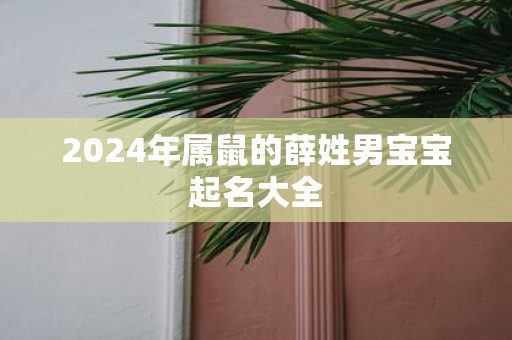 2025年属鼠的薛姓男宝宝起名大全