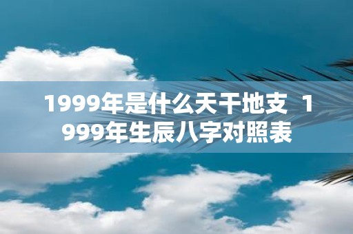 1999年是什么天干地支 1999年生辰八字对照表