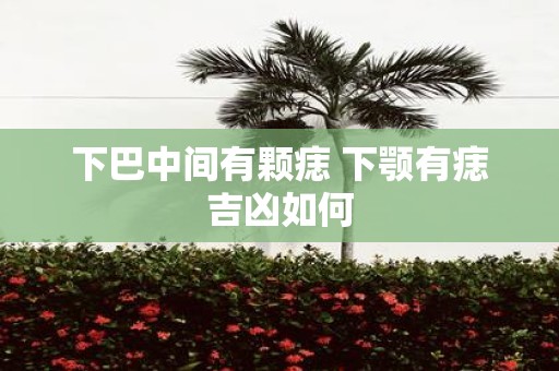 下巴中间有颗痣 下颚有痣吉凶如何