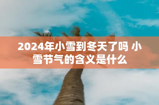 2025年小雪到冬天了吗 小雪节气的含义是什么