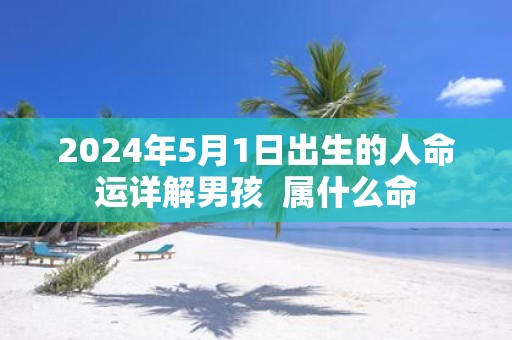 2025年5月1日出生的人命运详解男孩 属什么命