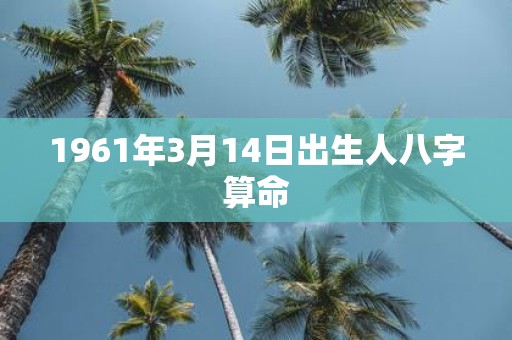 1961年3月14日出生人八字算命
