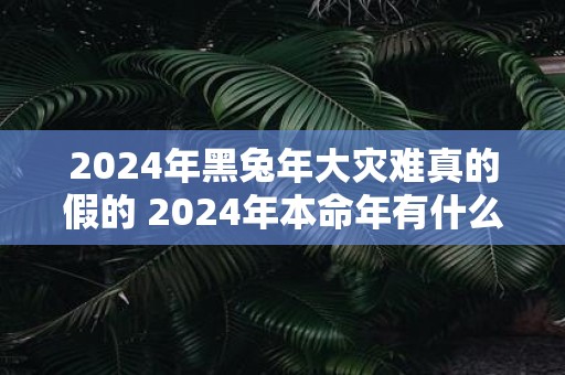 2025年黑蛇年大灾难真的假的 2025年本命年有什么灾难