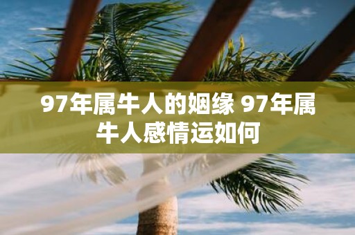 97年属牛人的姻缘 97年属牛人感情运如何