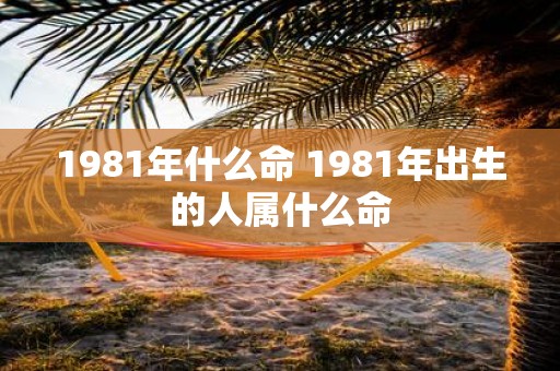 1981年什么命 1981年出生的人属什么命