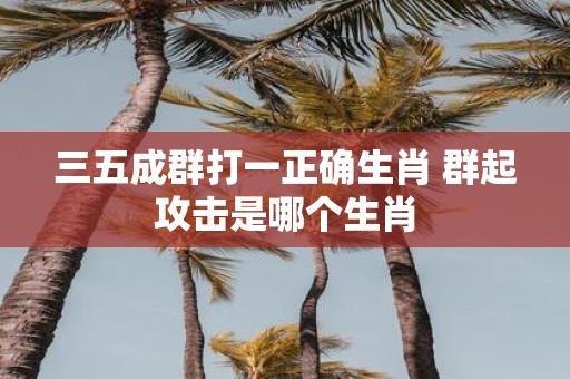 三五成群打一正确生肖 群起攻击是哪个生肖
