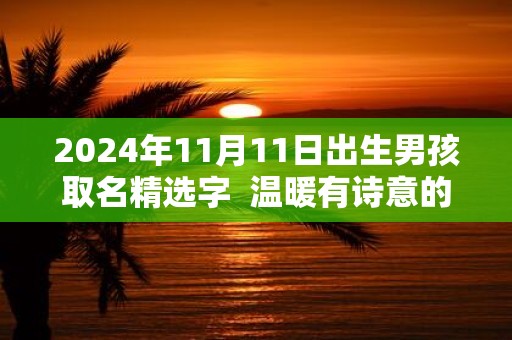 2025年11月11日出生男孩取名精选字 温暖有诗意的名字