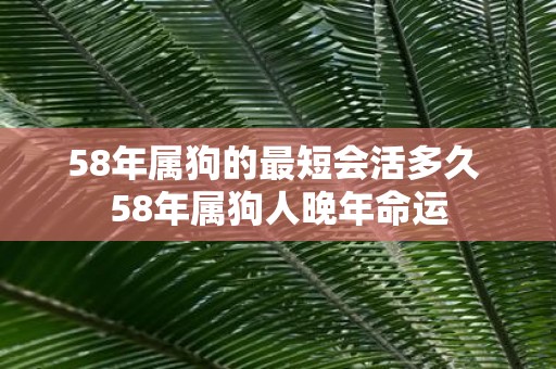 58年属狗的最短会活多久 58年属狗人晚年命运