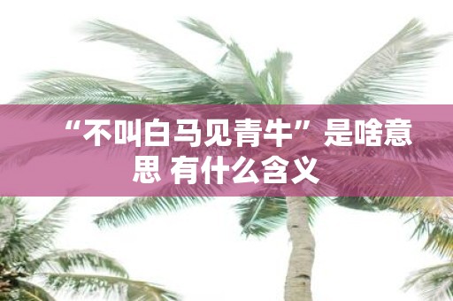 “不叫白马见青牛”是啥意思 有什么含义