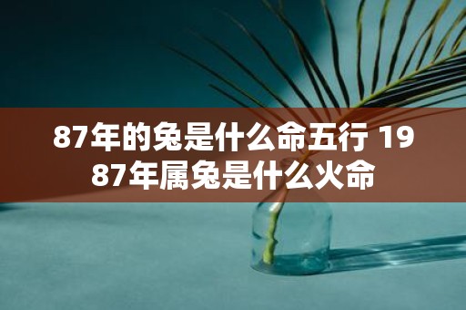 87年的兔是什么命五行 1987年属兔是什么火命