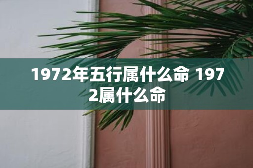 1972年五行属什么命 1972属什么命
