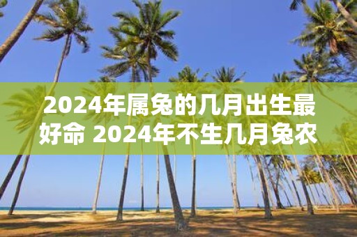 2025年属兔的几月出生最好命 2025年不生几月兔农历