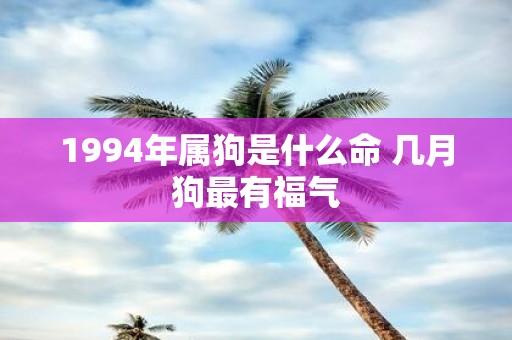 1994年属狗是什么命 几月狗最有福气