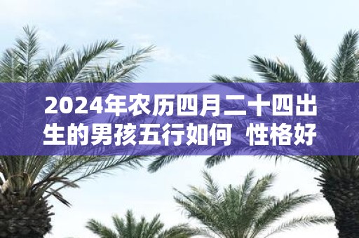 2025年农历四月二十四出生的男孩五行如何 性格好不好