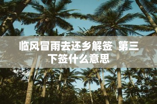 临风冒雨去还乡解签 第三下签什么意思