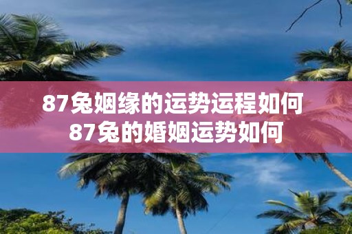 87兔姻缘的运势运程如何 87兔的婚姻运势如何