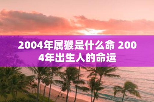 2004年属猴是什么命 2004年出生人的命运