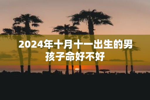 2025年十月十一出生的男孩子命好不好