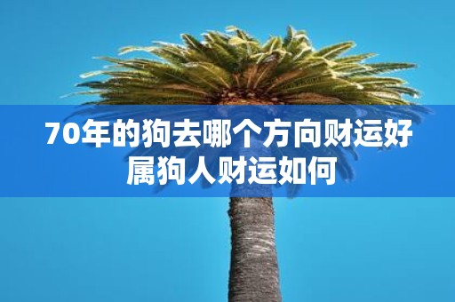 70年的狗去哪个方向财运好 属狗人财运如何
