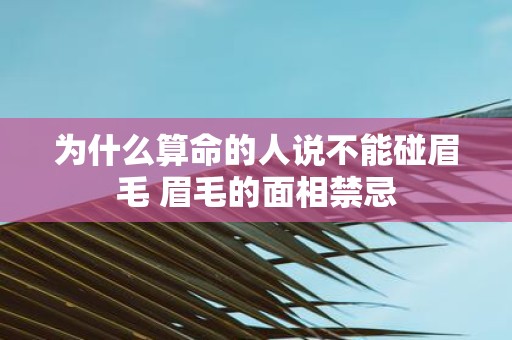 为什么算命的人说不能碰眉毛 眉毛的面相禁忌