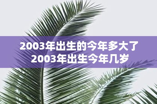 2003年出生的今年多大了 2003年出生今年几岁