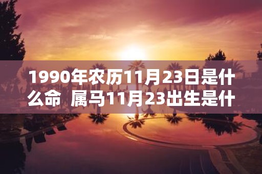 1990年农历11月23日是什么命 属马11月23出生是什么命