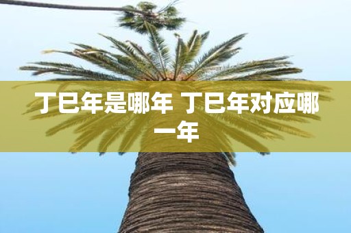 丁巳年是哪年 丁巳年对应哪一年