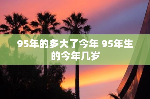 95年的多大了今年 95年生的今年几岁