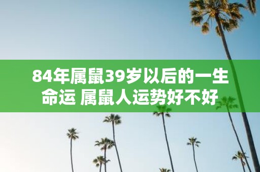 84年属鼠39岁以后的一生命运 属鼠人运势好不好