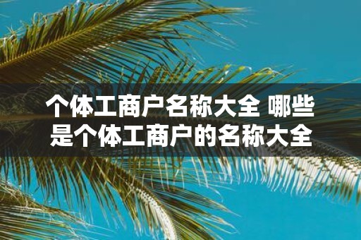 个体工商户名称大全 哪些是个体工商户的名称大全