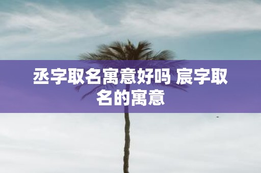 丞字取名寓意好吗 宸字取名的寓意