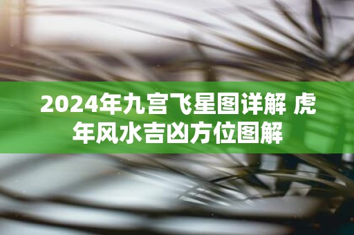 2025年九宫飞星图详解 虎年风水吉凶方位图解