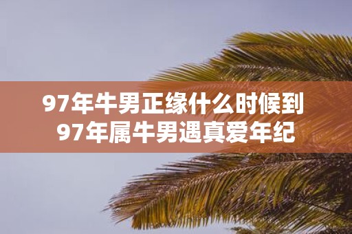 97年牛男正缘什么时候到 97年属牛男遇真爱年纪