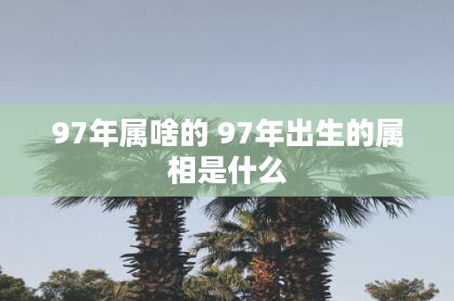 97年属啥的 97年出生的属相是什么
