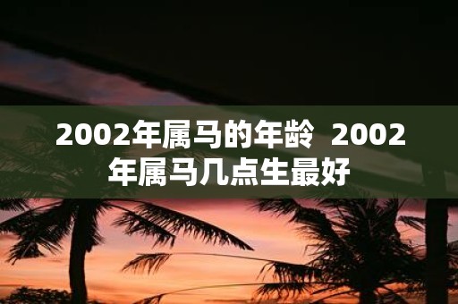 2002年属马的年龄 2002年属马几点生最好