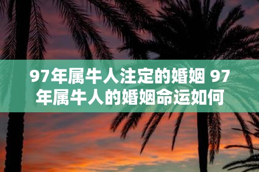 97年属牛人注定的婚姻 97年属牛人的婚姻命运如何