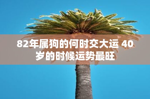 82年属狗的何时交大运 40岁的时候运势最旺