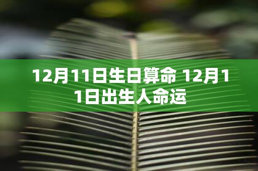 12月11日生日算命 12月11日出生人命运