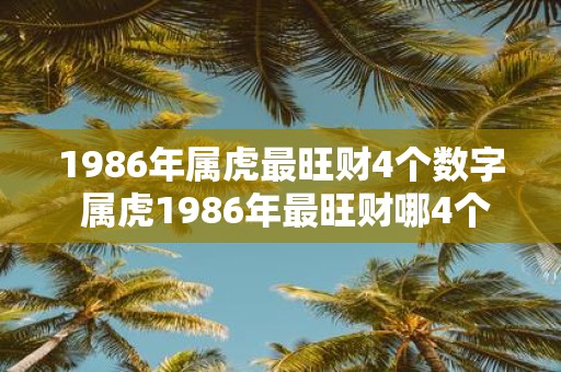 1986年属虎最旺财4个数字 属虎1986年最旺财哪4个数字
