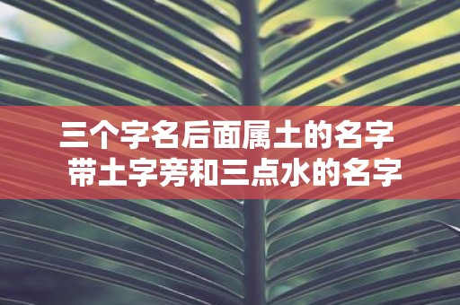 三个字名后面属土的名字 带土字旁和三点水的名字