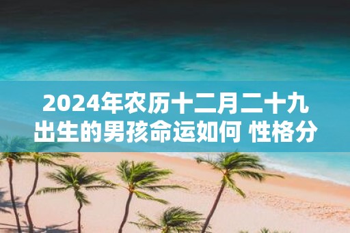 2025年农历十二月二十九出生的男孩命运如何 性格分析