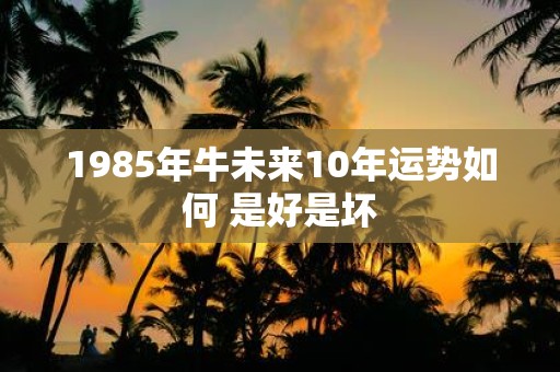 1985年牛未来10年运势如何 是好是坏