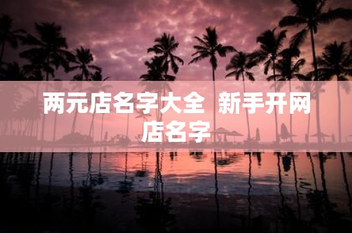 两元店名字大全 新手开网店名字