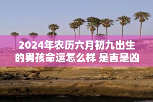 2025年农历六月初九出生的男孩命运怎么样 是吉是凶